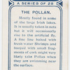 The pollan.