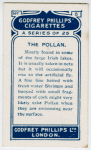 The pollan.
