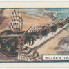 The miller's thumb.