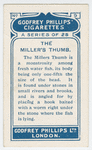 The miller's thumb.
