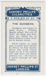 The gudgeon.