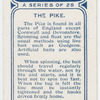 The pike.