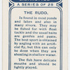 The rudd.