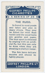 The rudd.
