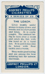 The loach.