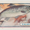 The salmon.