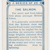 The salmon.