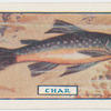 The char.