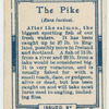 The pike (Esox lucius).