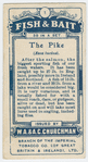 The pike (Esox lucius).