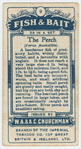 The perch (Perca fluviatilis).