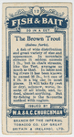The brown trout (Salmo fario).