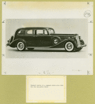Packard twelve by a company which also bids for the low-price field.