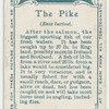 The pike (Esox lucius).