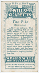 The pike (Esox lucius).