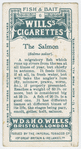 The salmon (Salmo salar).