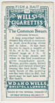 The common bream (Abramis brama).