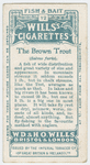 The brown trout (Salmo fario).