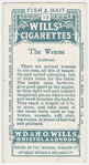 The wrasse (Labrus).