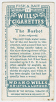 The burbot (Lota vulgaris).