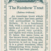 The rainbow trout (Salmo irideus).