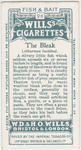 The bleak (Alburnus lucidus).