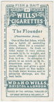 The flounder (Pleuronectes flesus).