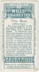 The bass (Labrax lupus).