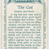 The cod (Gadus morrhua).