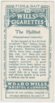 The halibut (Hippoglossus vulgaris).