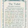 The turbot (Rhombus maximus).