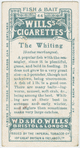The whiting (Gadus merlangus).