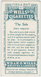 The sole (Solea vulgaris).