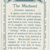 The mackerel (Scomber scomber).