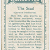 The scad (Caranx trachurus).