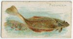 Flounder.