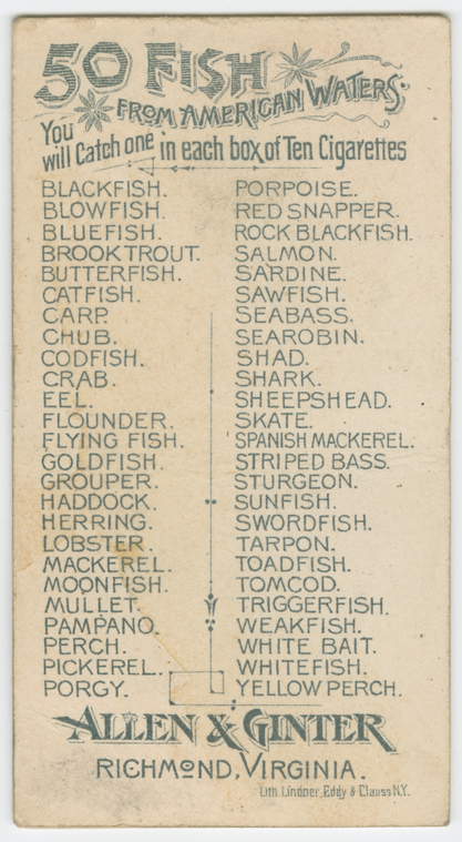 Index