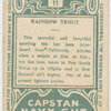 Rainbow trout.
