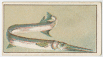 Long-tom.