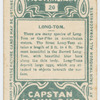 Long-tom.