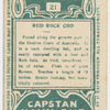 Red rock cod.