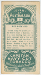 Red rock cod.