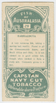 Barracouta.