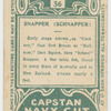Snapper (schnapper).