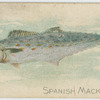 Spanish mackerel.