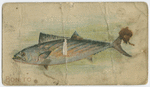 Bonito.