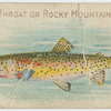 Red throat or Rocky Mountain trout.