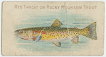 Red throat or Rocky Mountain trout.