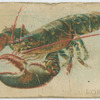 Lobster.