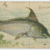 Swordfish.